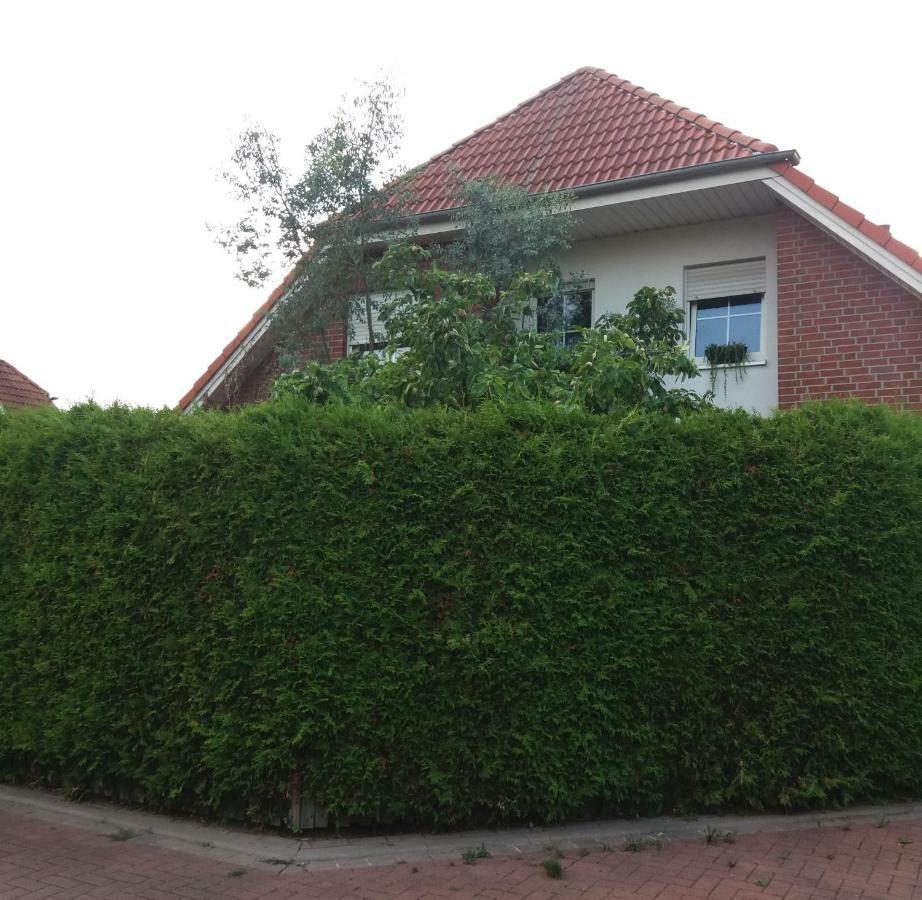 Ruhiges Zimmer Direkt An Den Leineauen Hemmingen  Esterno foto